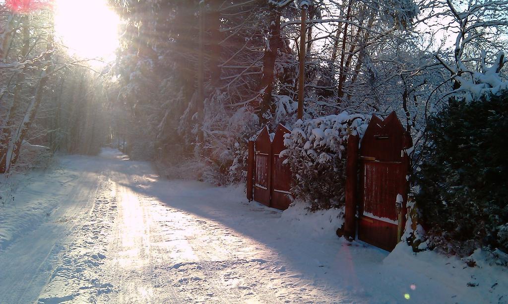 فيلا Norwegisches Holzhaus نيوروبين المظهر الخارجي الصورة